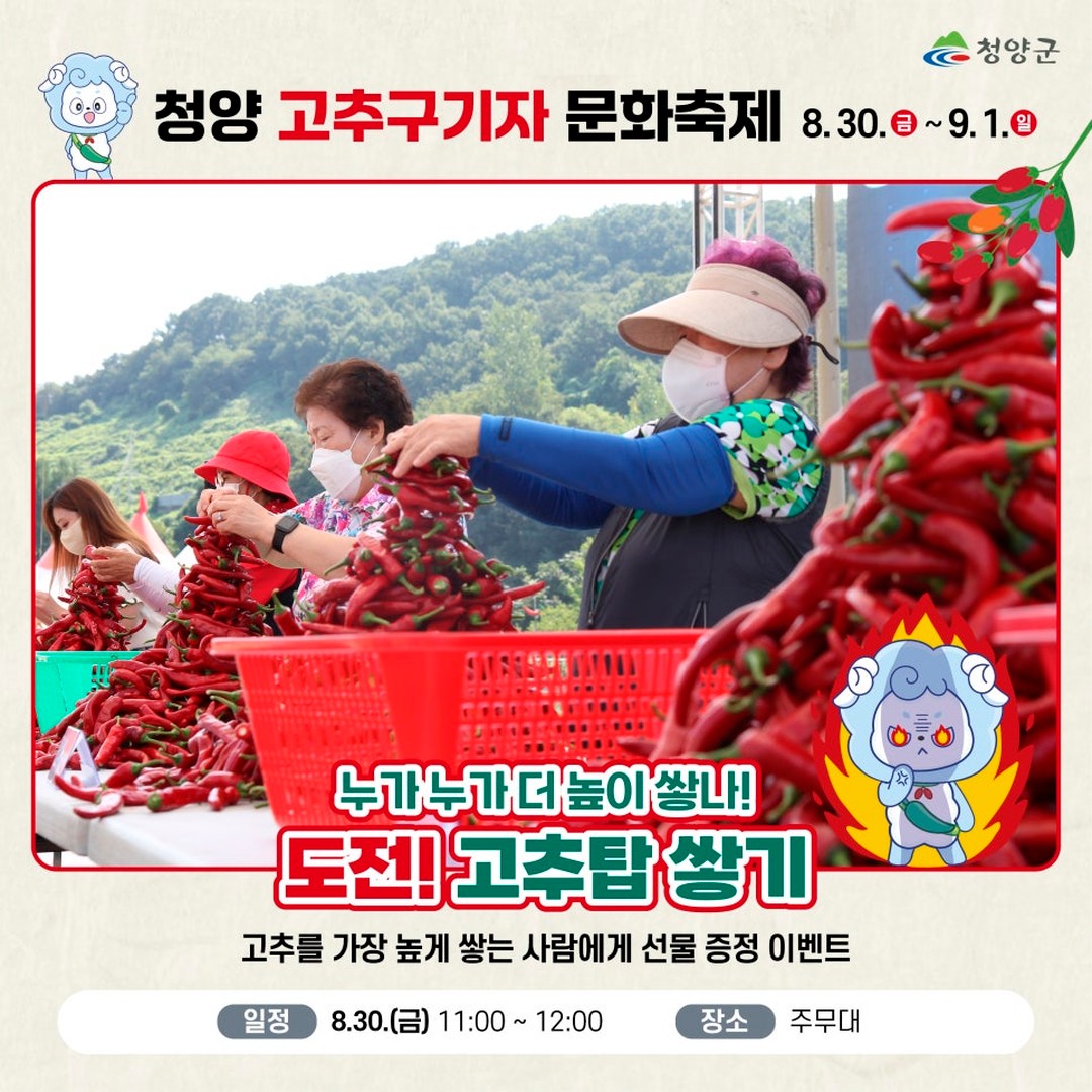청양고추구기자 문화 축제