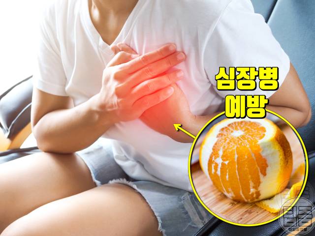 오렌지 매일 먹으면 오렌지효능 심장