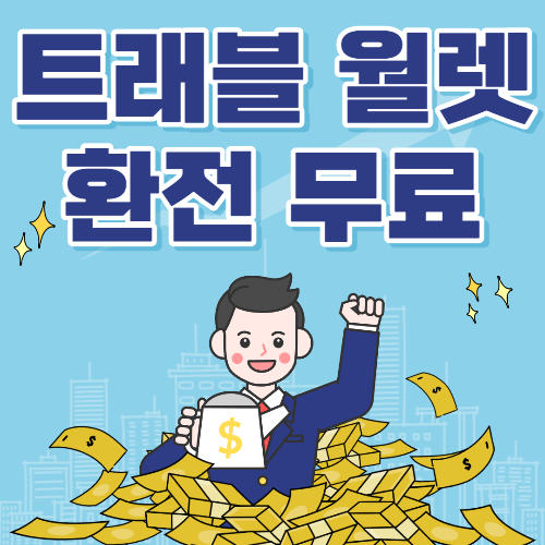 트래블 월렛 환전