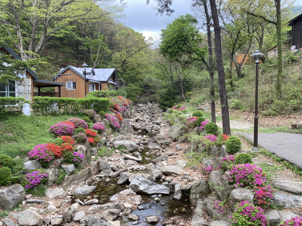용인자연휴양림 예약 이용요금 정보