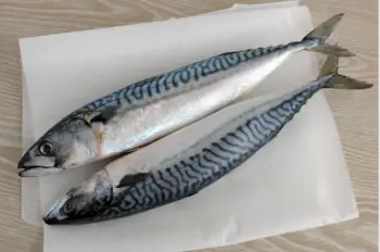 고등어 가격 및 효능&amp;#44; 영양성분과 주의점