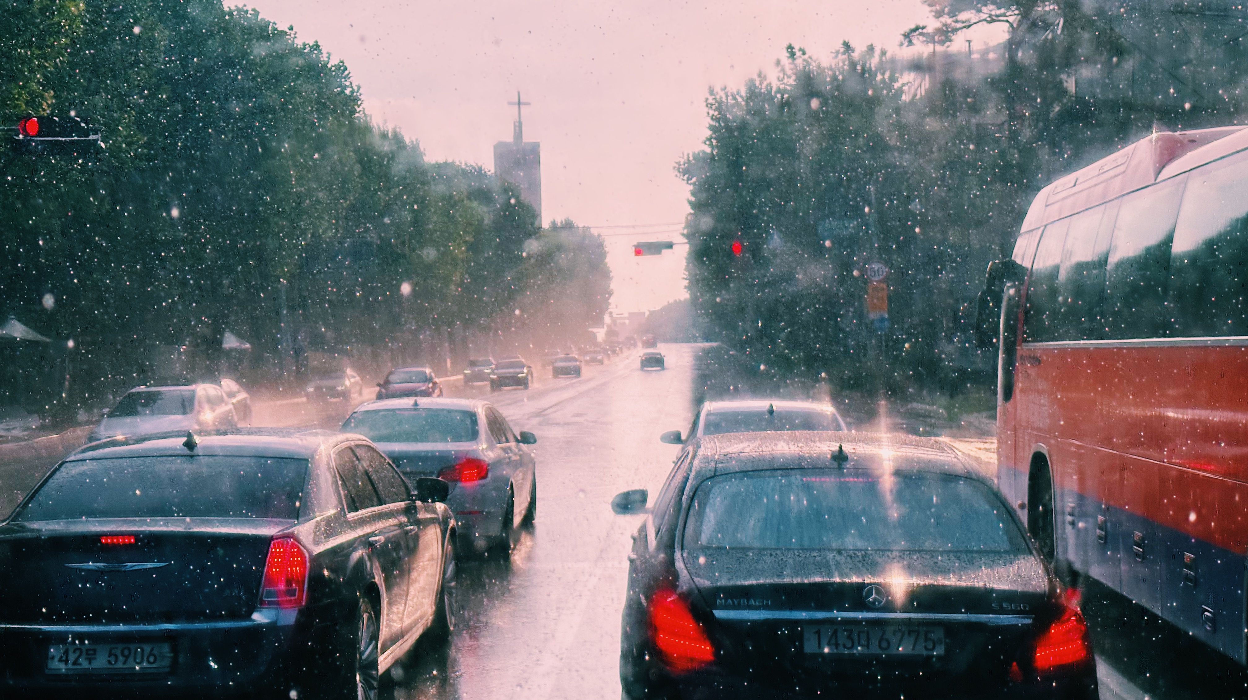 호랑이 장가 가는 날