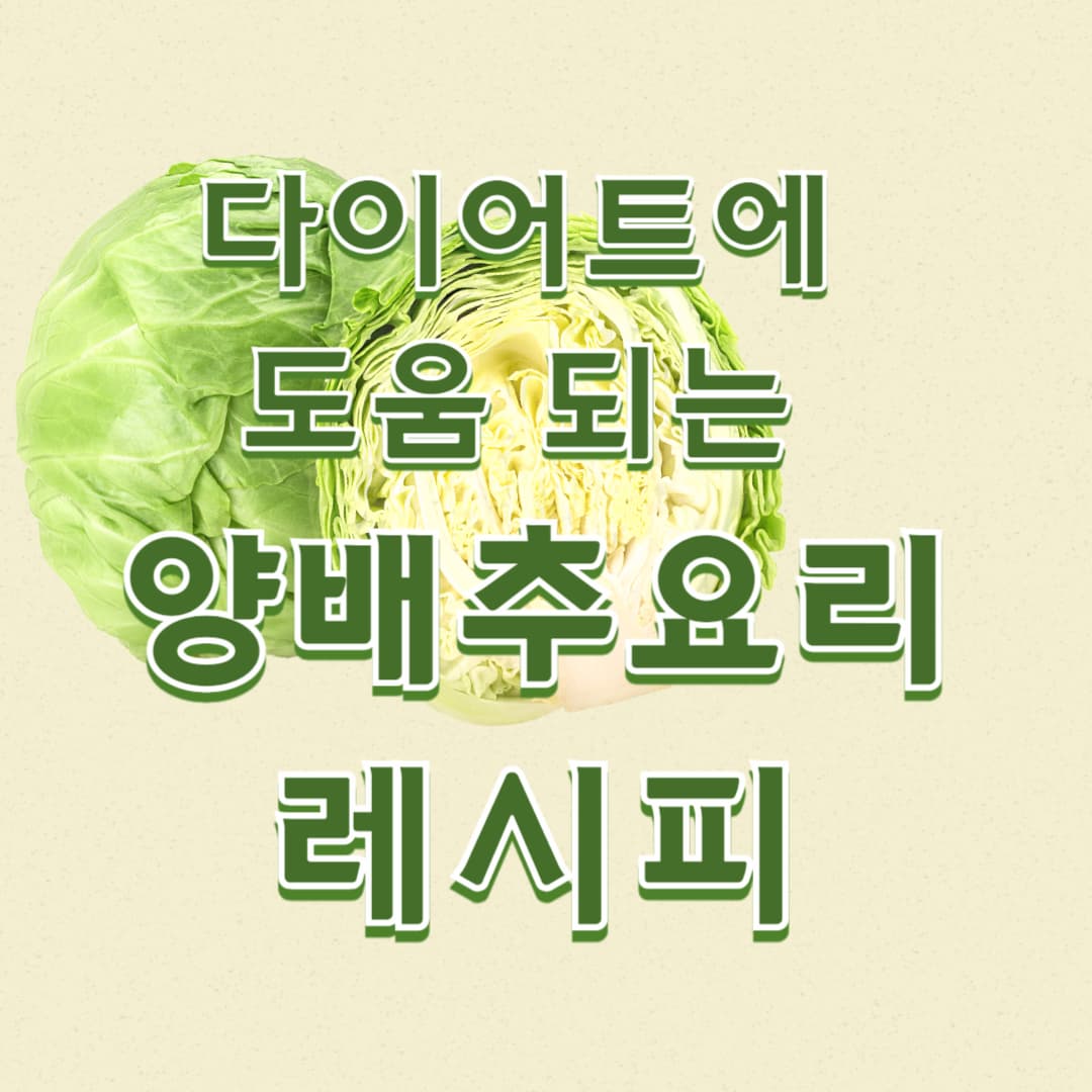 다이어트에 도움 되는 양배추 요리 레시피