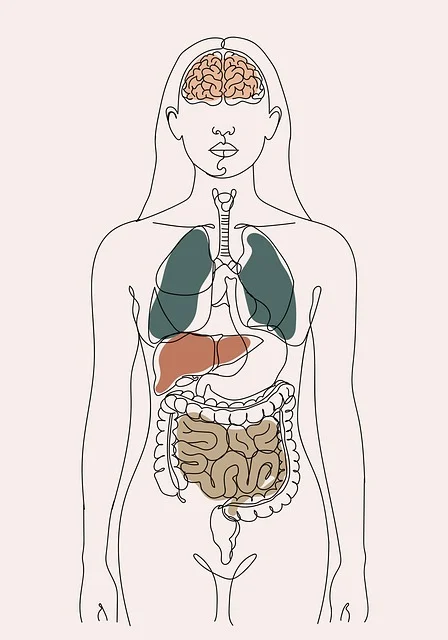 지방간 증상과 수치 확인하기