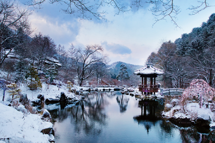 아침고요 수목원