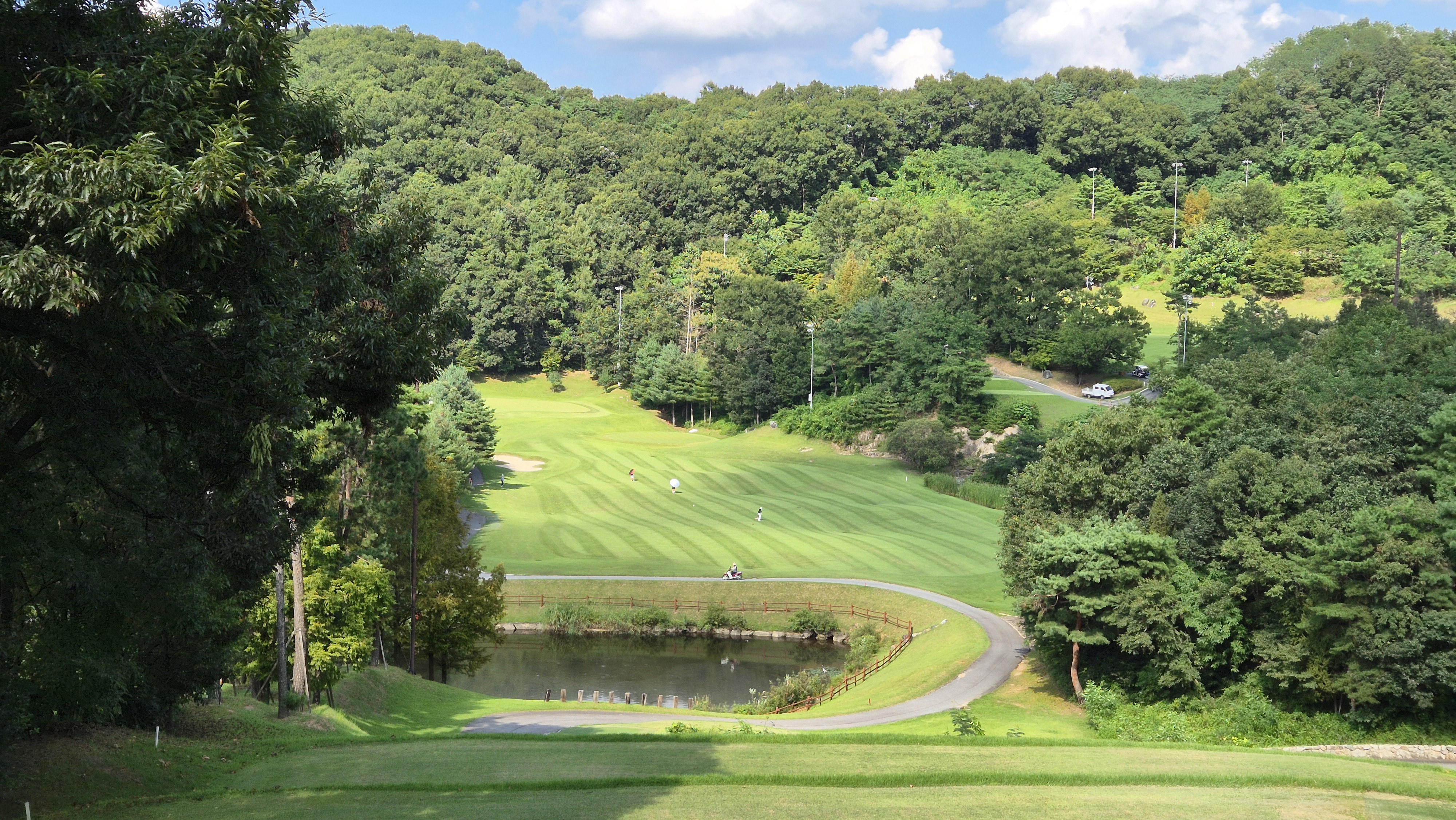 대영힐스cc 청-력 코스 사진 및 공략 정보