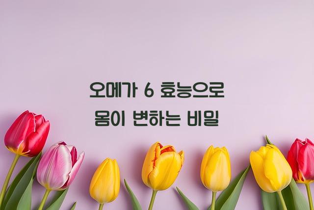 오메가 6 효능