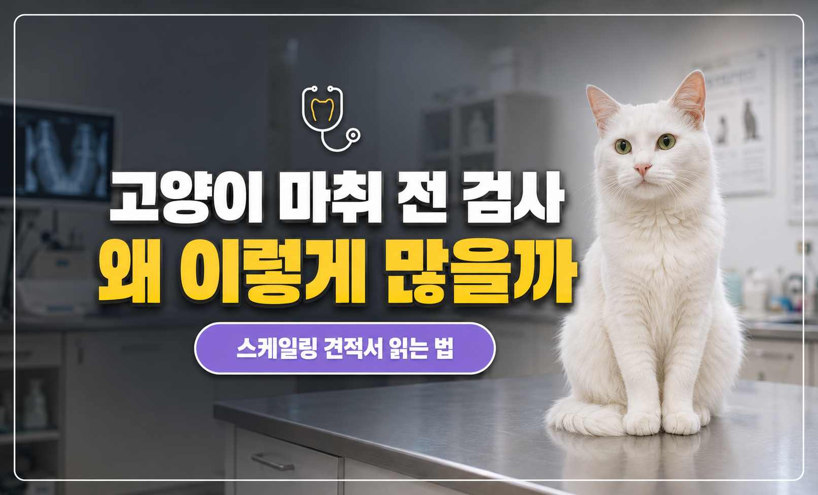고양이 마취 전 검사 대표 썸네일
