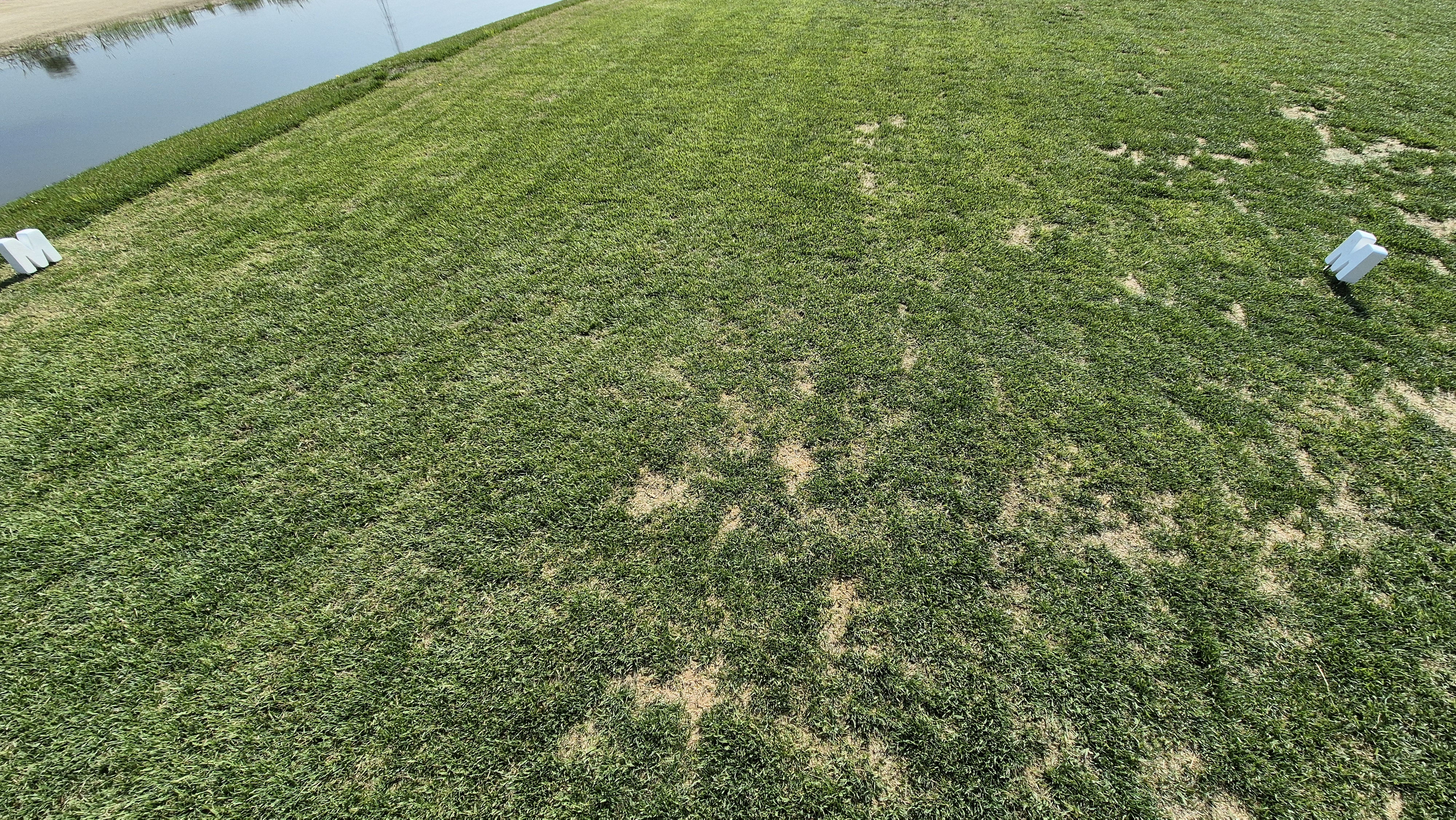 마에스트로cc 라운드 후기