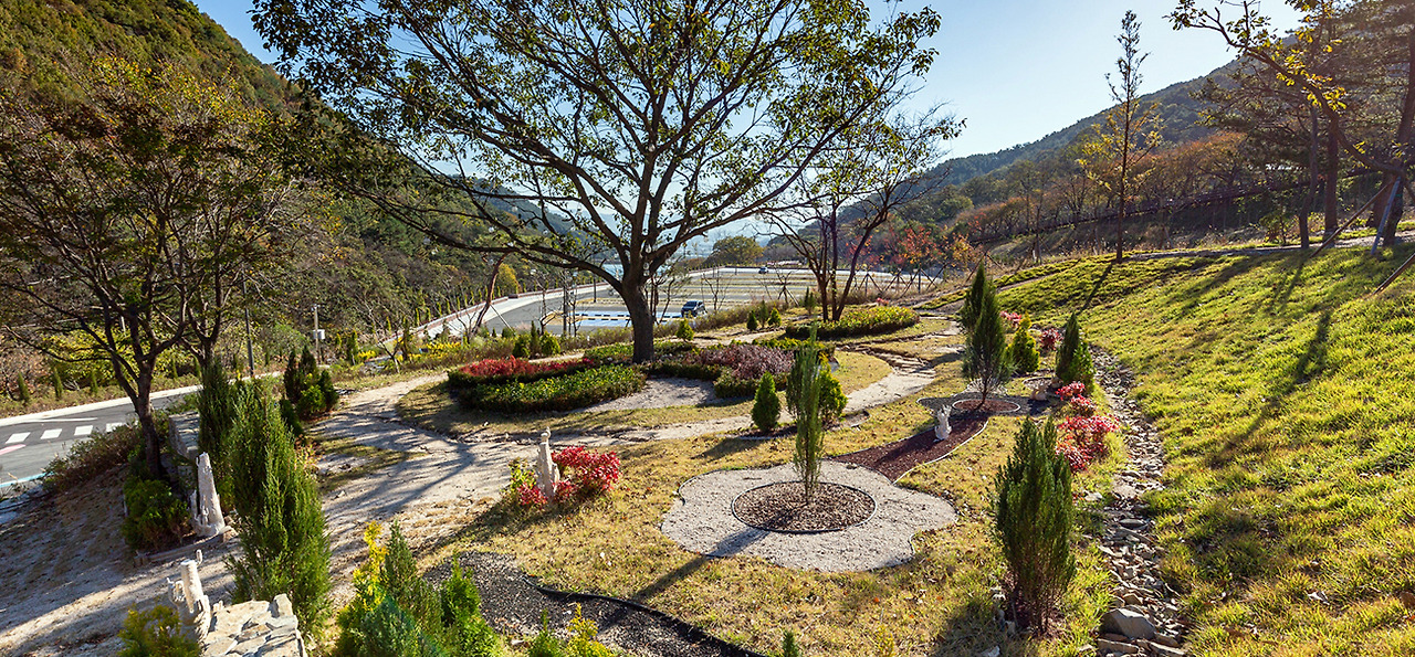 2025 월아산 수국정원 축제 완벽 가이드! 일정, 포토존, 프로그램 총정리(6.14~22)