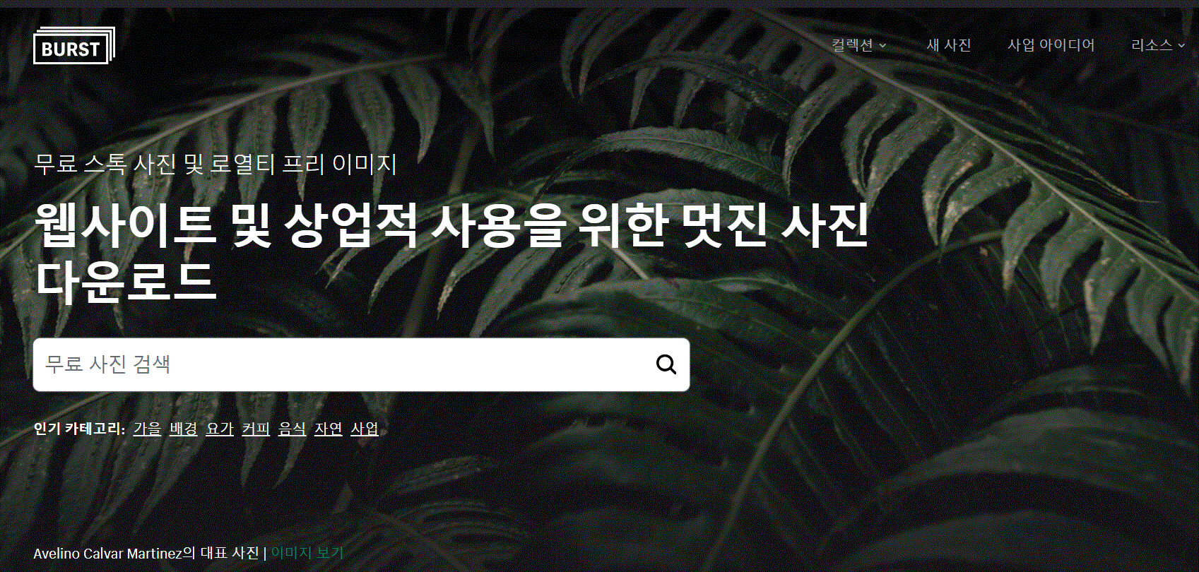이미지 무료 다운로드 사이트