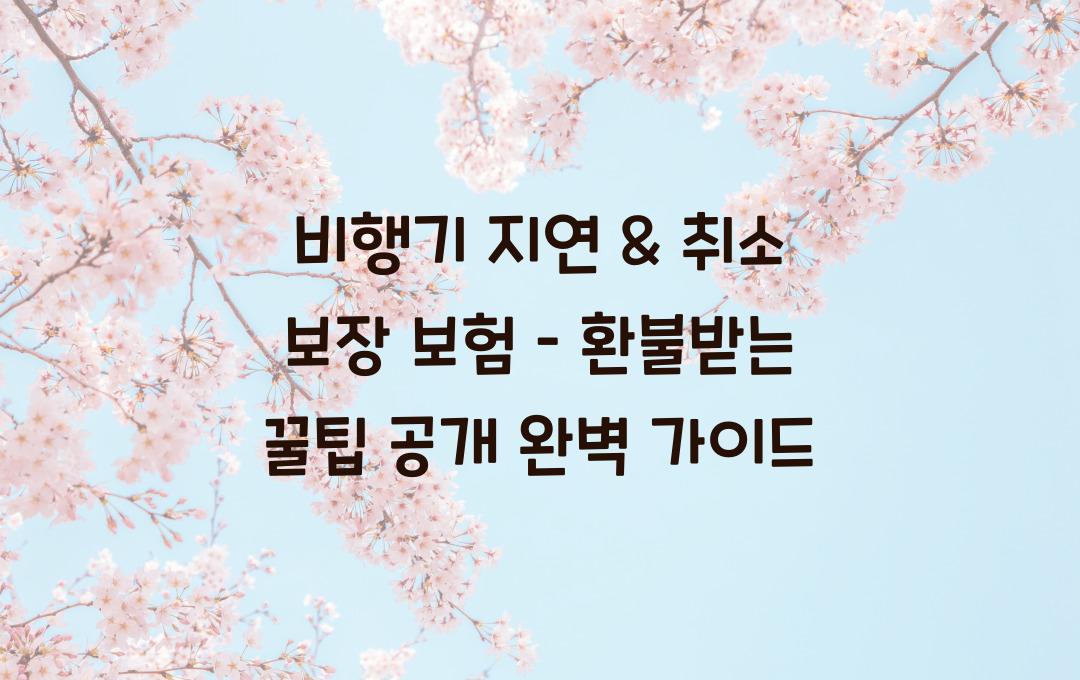 비행기 지연 & 취소 보장 보험 – 환불받는 꿀팁 공개!
