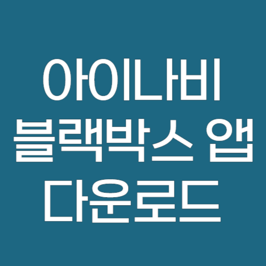 아이나비 블랙박스 뷰어 사용법 및 PC 프로그램 다운로드