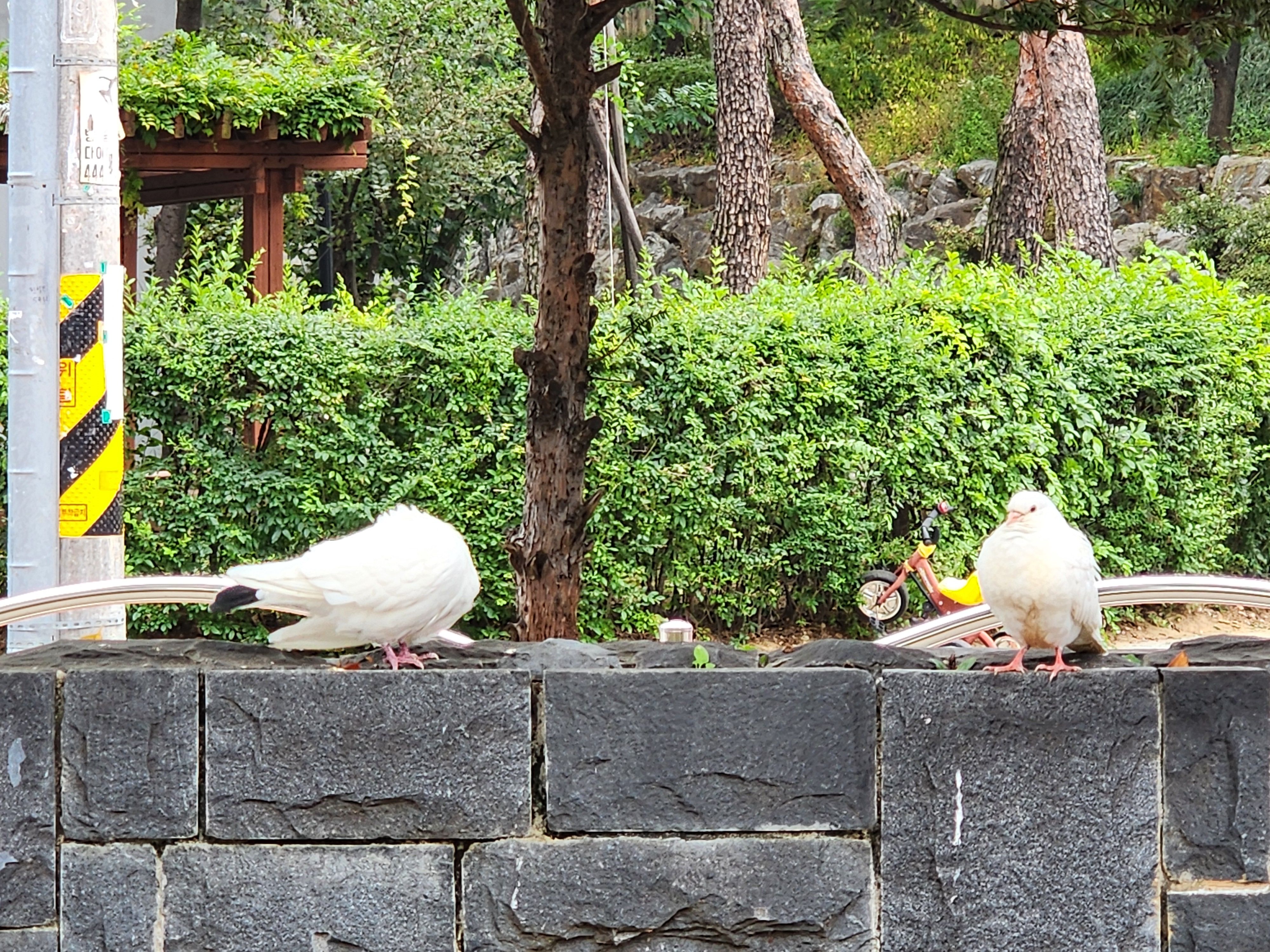 Alt 속성 문제 해결 설명 이미지