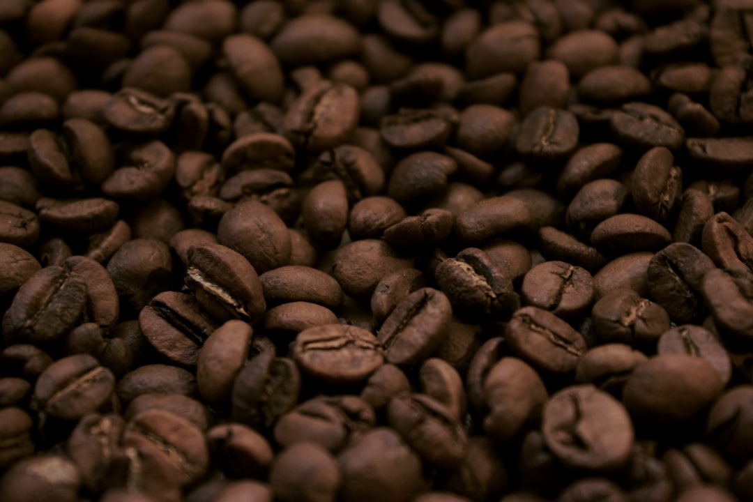 Used coffee grounds