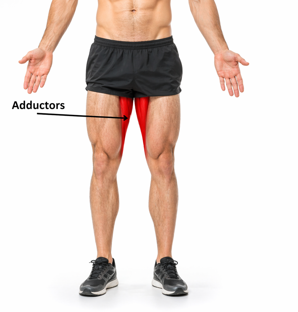 이너타이: 앞벅지 개입 vs 내전근 주도