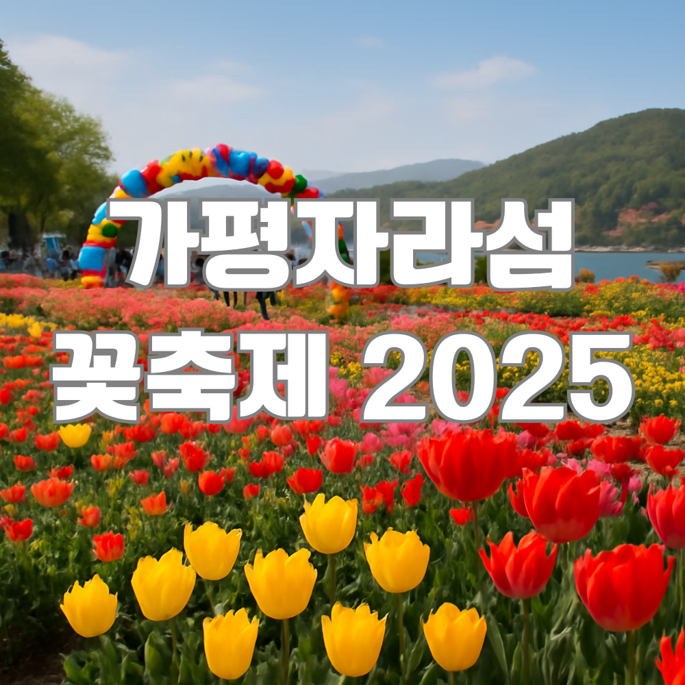 가평자라섬꽃축제 2025
