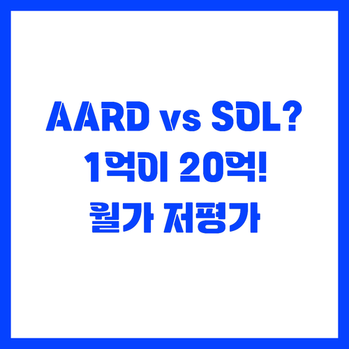 AARD 1억 vs Soleno 20..