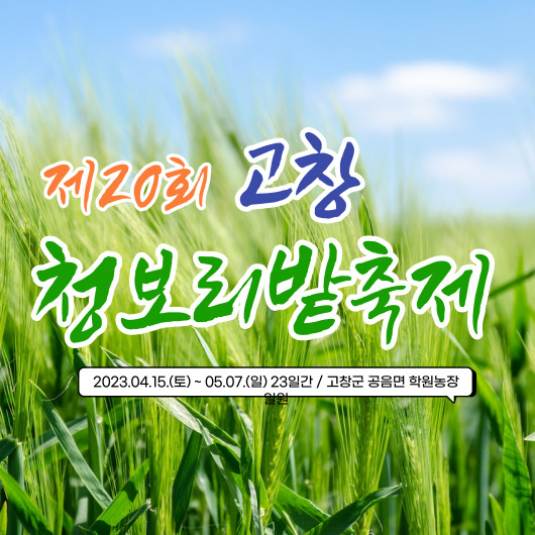 고창청보리밭축제