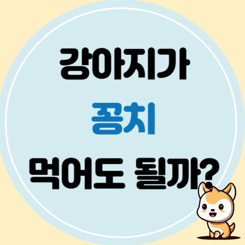 강아지가 꽁치 먹어도 될까?급여 방법, 효능, 주의사항