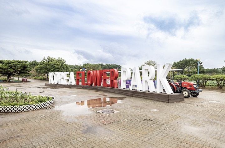 전국 가을 꽃 축제 추천 BEST