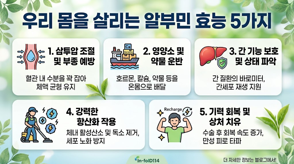알부민 복용시간
