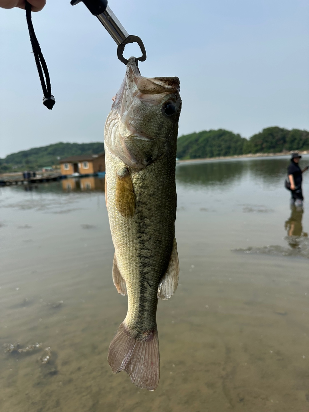 배스 사진