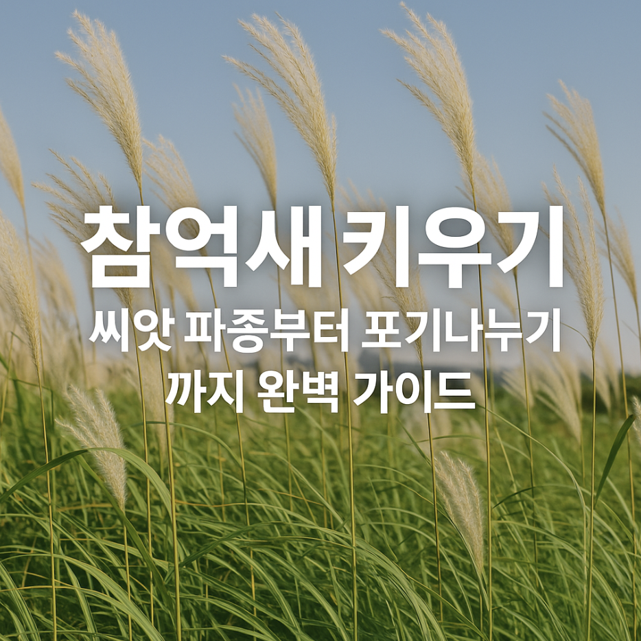 참억새 키우기, 씨앗 파종부터 포기나누기까지 완벽 가이드