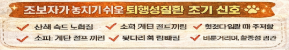 강아지 관절염 한달 병원비 80만원 현실일까? (한달 치료비최대 500만원 사실일까?)