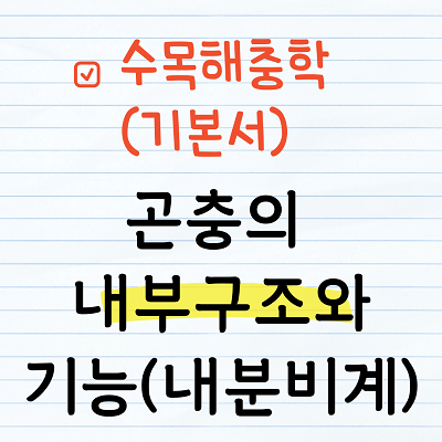 곤충의 내분비계