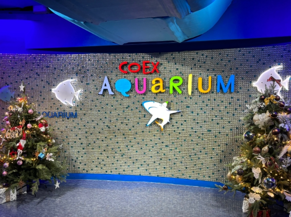 서울 실내 가볼만한곳 베스트10