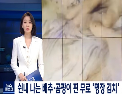 한성식품 김치