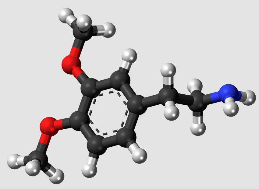 도파민과 성공의 관계: 목표 달성을 위한 보상 시스템 활용법