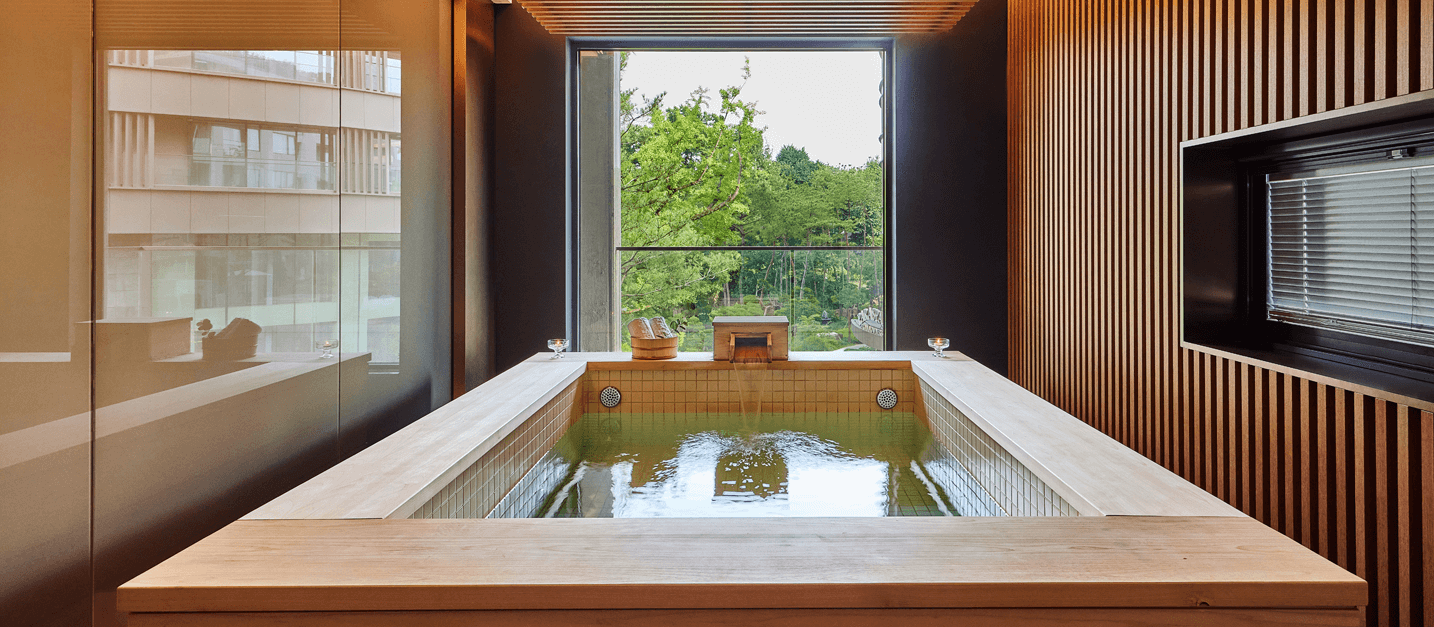 파라스파라 프라나오너스 관련 이미지