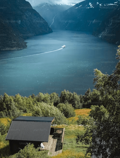 캐롯여행자보험 50%할인