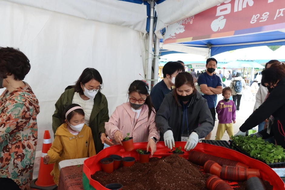  강원 N 홍천 산나물 축제 특징