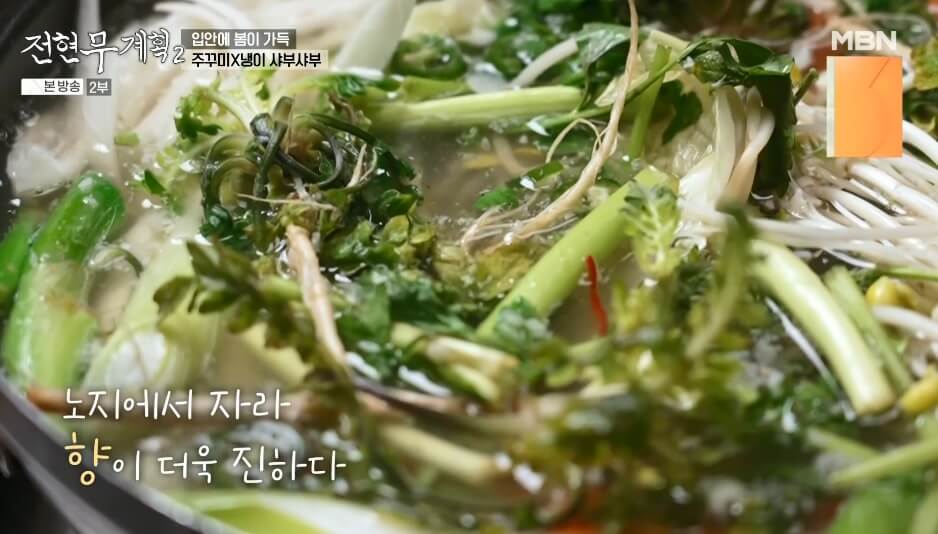 전현무계획2 인천 쭈꾸미 맛집 원조가고파안면도쭈꾸미 제철 주꾸미 냉이 샤부샤부 매콤한 주꾸미볶음