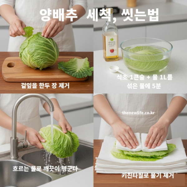 양배추 세척법 &ndash; 겉잎을 한두 장 제거한 뒤 식초물에 5분 담그고, 흐르는 물로 헹군 후 키친타월로 물기를 제거하는 과정.