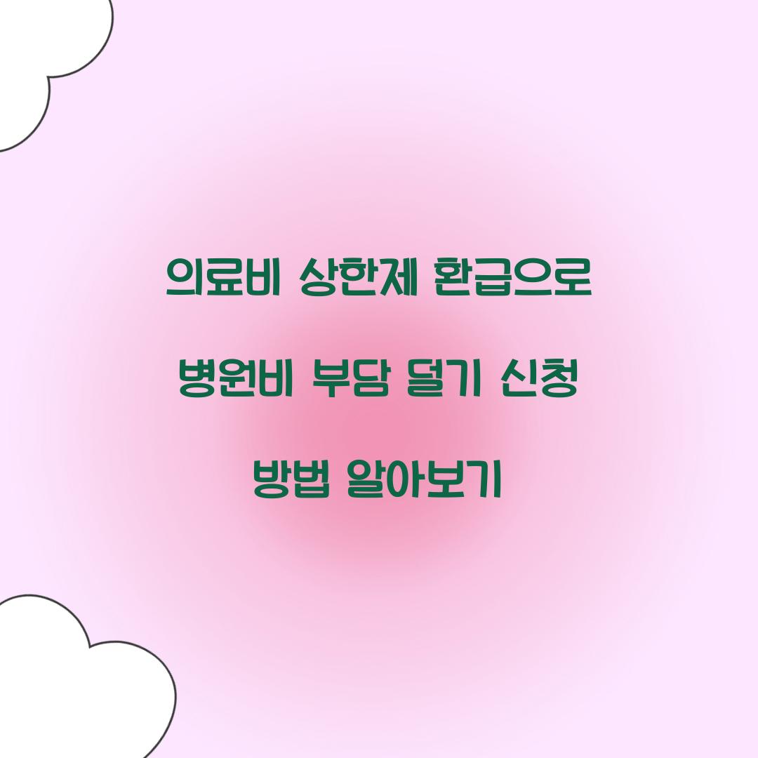 의료비 상한제 환급