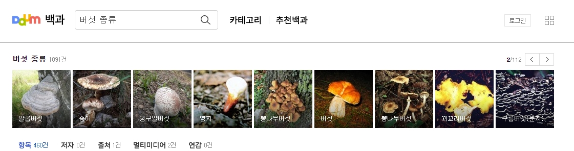 송이버섯 및 다양한 버섯의 상세 정보