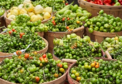 농축산물 할인지원