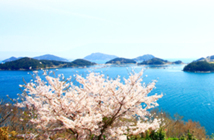 통영 수산과학관