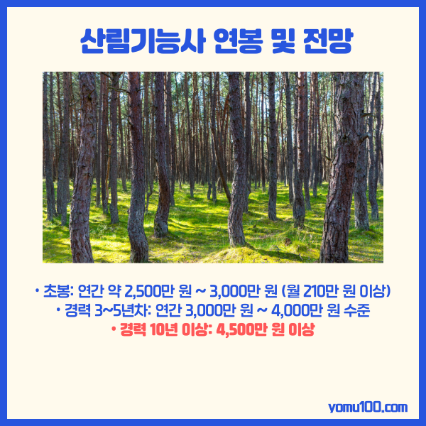 산림기능사