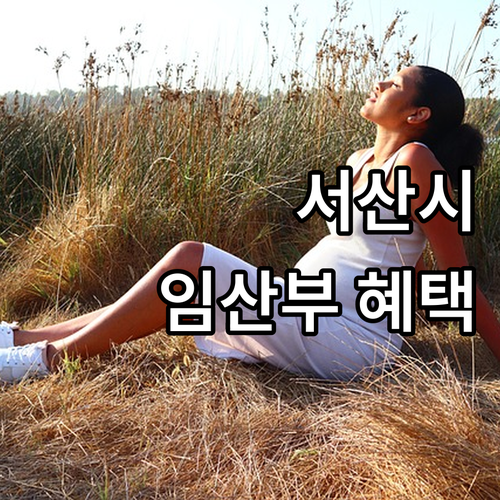 2025년 서산시 임산부 지원 정책 ..