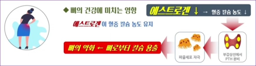 갱년기