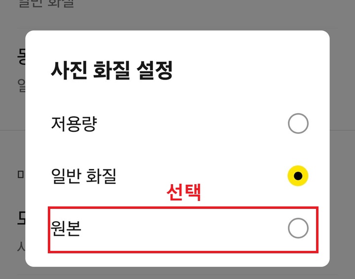 사진 화질 설정창 보임