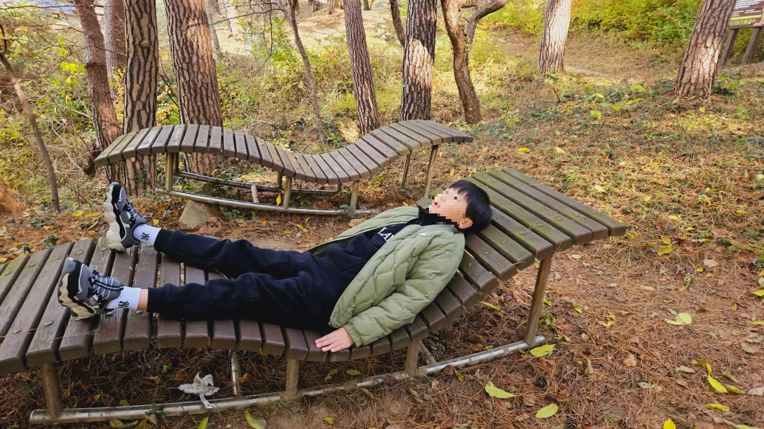 밀양 금시당 은행나무