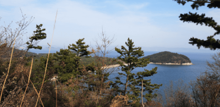 삽시도여행