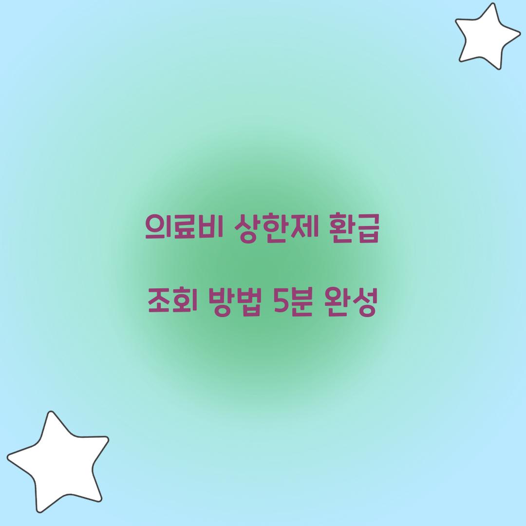 의료비 상한제 환급