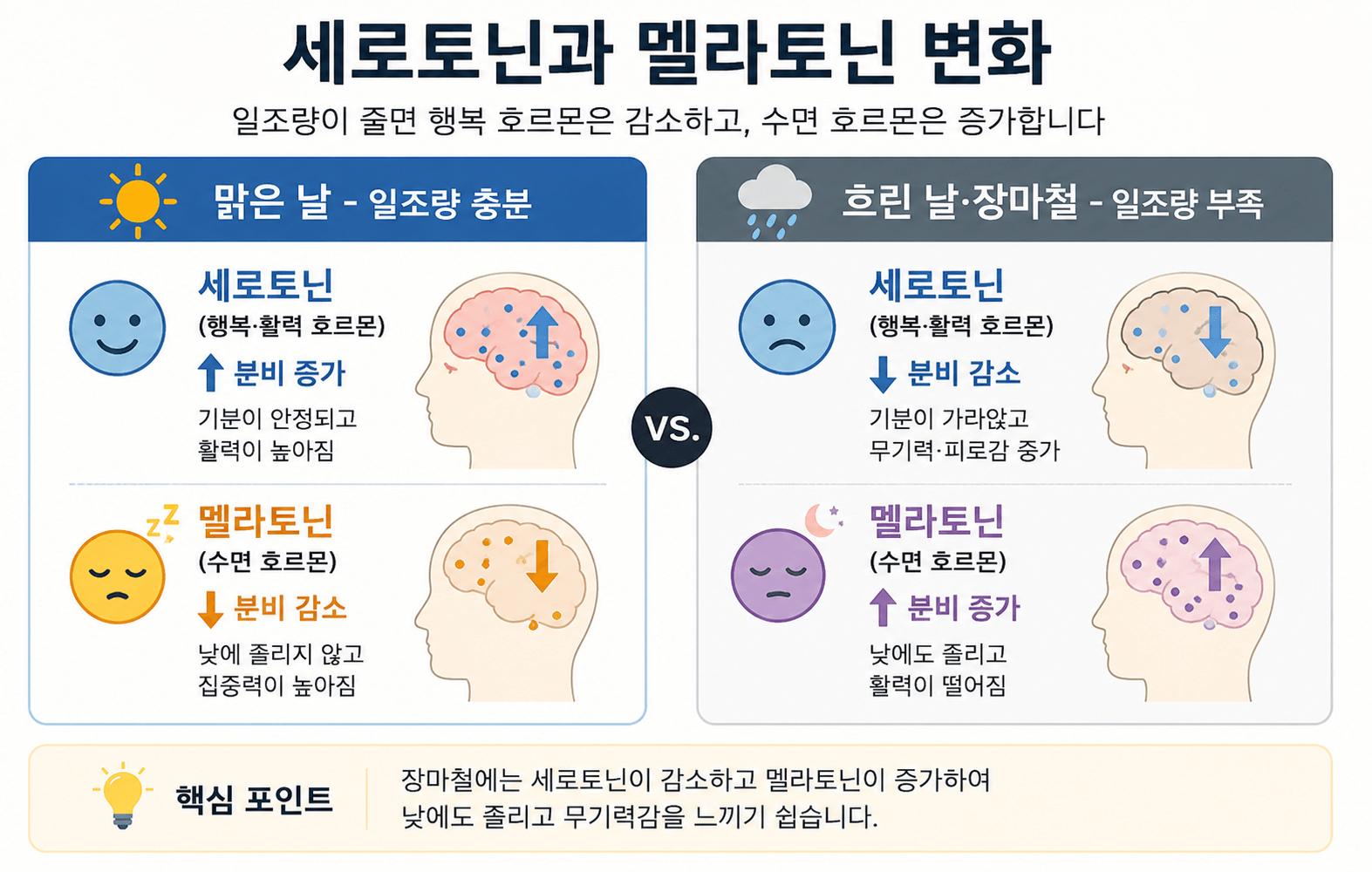 장마철 몸이 무거운 이유, 비 오는 날 유독 피곤한 진짜 원인